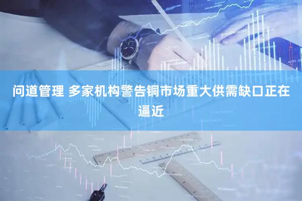 问道管理 多家机构警告铜市场重大供需缺口正在逼近