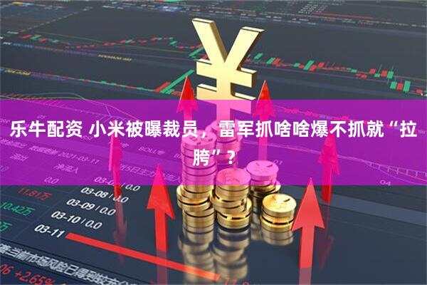 乐牛配资 小米被曝裁员，雷军抓啥啥爆不抓就“拉胯”？