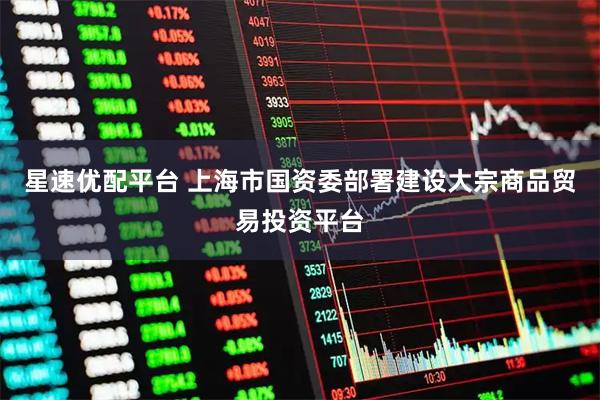 星速优配平台 上海市国资委部署建设大宗商品贸易投资平台